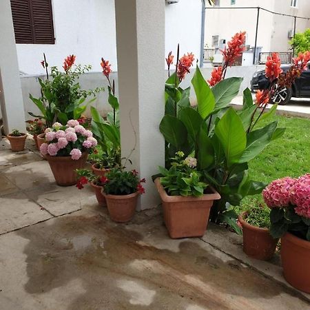 Apartman Murter Centar Exterior foto
